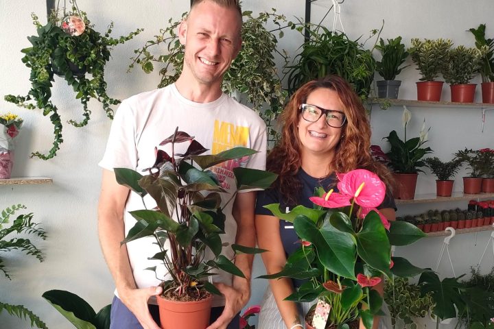 ¡AEGA da la Bienvenida FLORISTERÍA AGAETE!